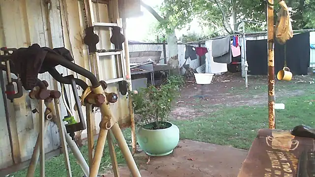 herbie010666 live sex cam