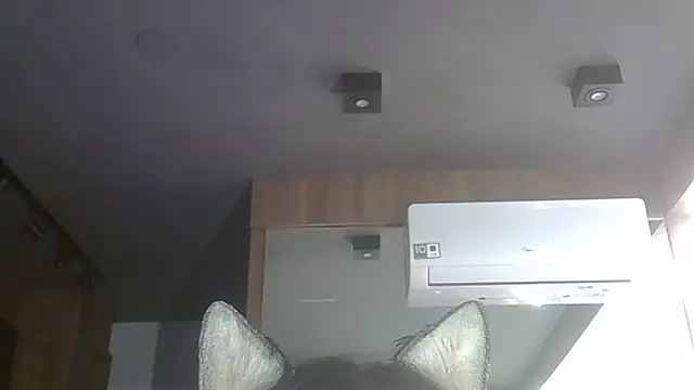 SkinnyKitten live sex cam