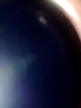 alanjoyoo's cam snapshot