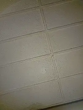 zaneporter46 live sex cam