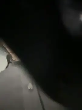 ZhenjaPoledance live sex cam