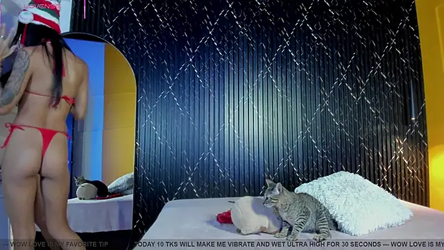 Miss_Ariaa live sex cam