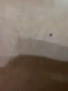 Maxim-Walker live sex cam