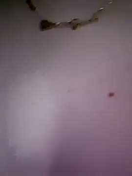 dixielarys live sex cam