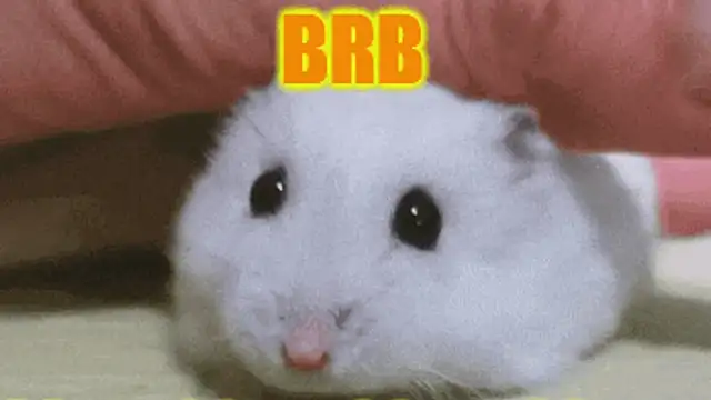 loveiiisens's cam snapshot