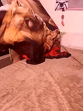 Wilsonn86 live sex cam