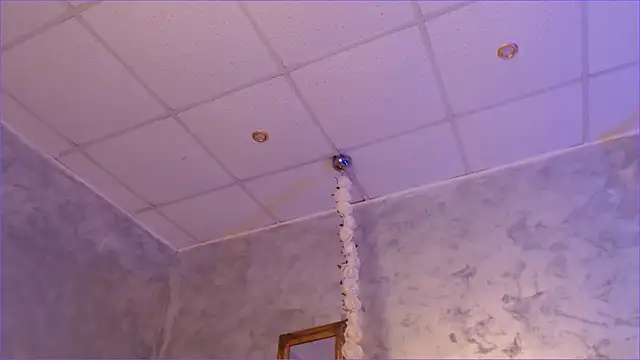 MolyStone live sex cam