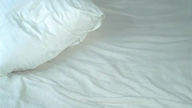 VeronaAppleberry's cam snapshot