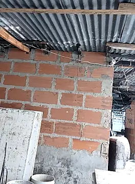 hoteder live sex cam