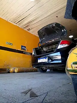 hecwil8 live sex cam