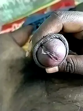 jellydicks live sex cam