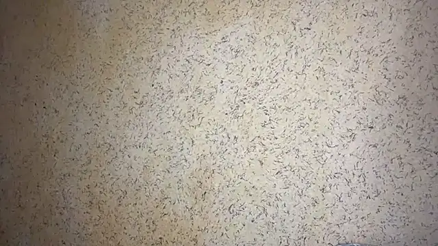 EchoSoul's cam snapshot