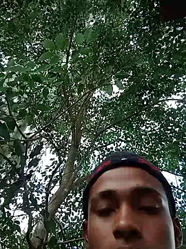 Negok1ng17cm's cam snapshot