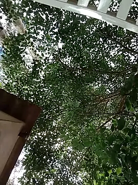 Negok1ng17cm's cam snapshot