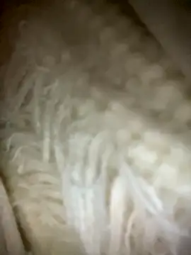 yourkeer's cam snapshot