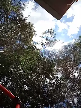 Negok1ng17cm's cam snapshot