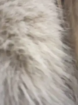 Ivy_Bae's cam snapshot