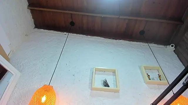 emiily_s live sex cam