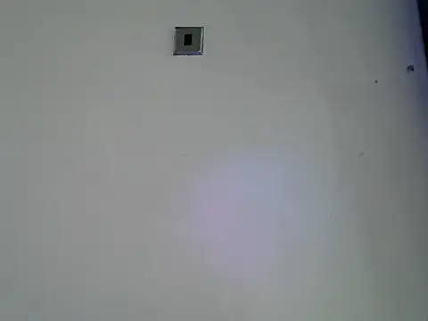 Rasta_tattooed live sex cam