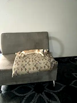 Brutal_FullUrgia69 live sex cam