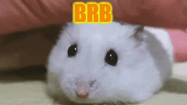 loveiiisens live sex cam