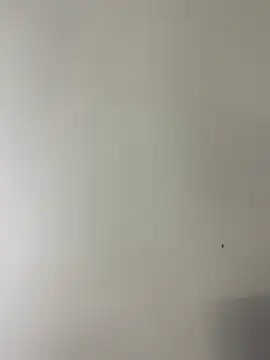 CurlyLara's cam snapshot