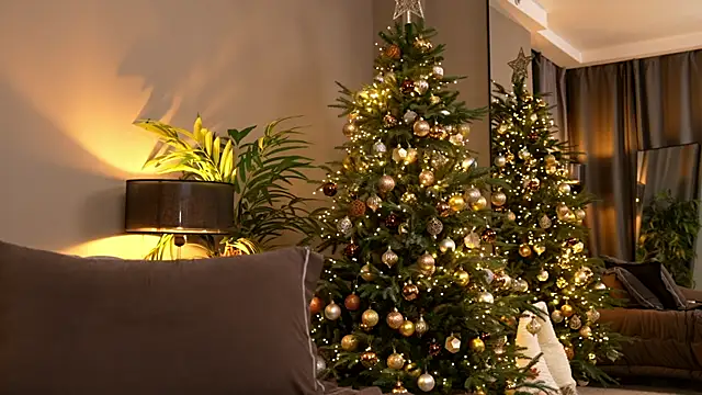 _keeti_'s cam snapshot