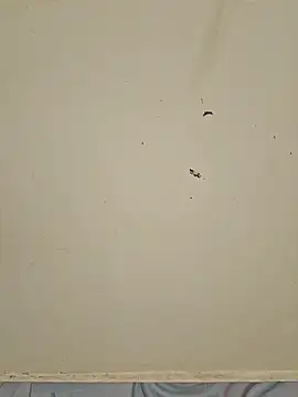 Tamil--Rani live sex cam