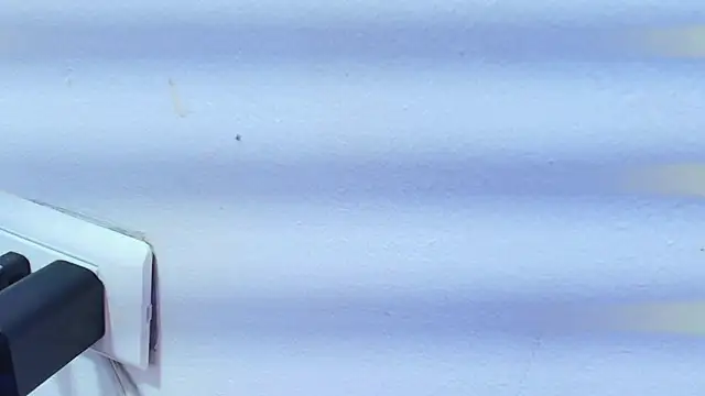 Eda_Bonne's cam snapshot