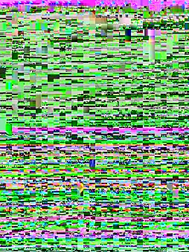 Cute_Erika live sex cam