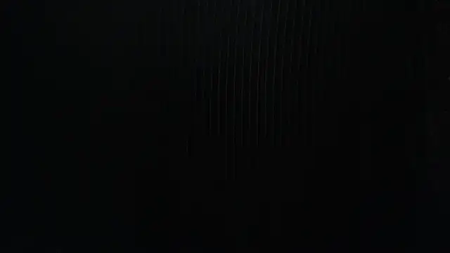 1BECHA1's cam snapshot