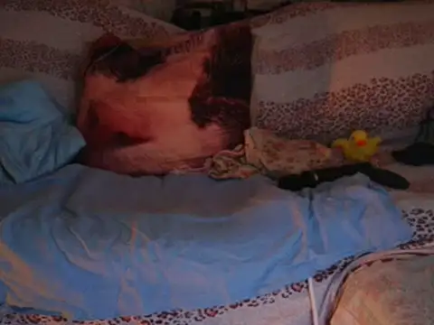 VeneRed's cam snapshot