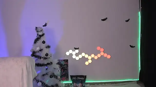 cyberzoe's web cam