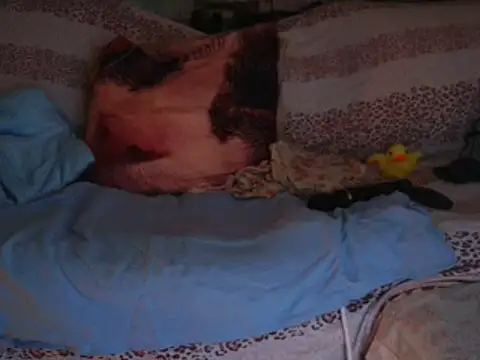 VeneRed's cam snapshot