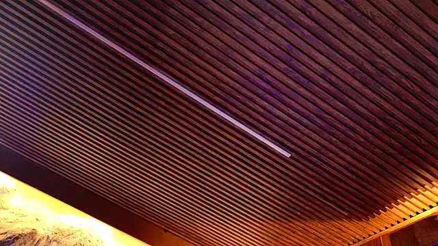 Katarina_Rostova's cam snapshot