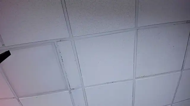 VelvetGreen's cam snapshot