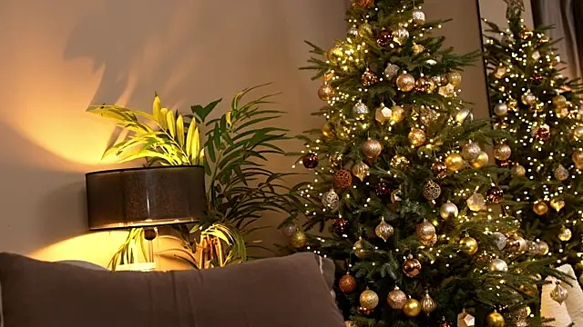 _keeti_ live sex cam