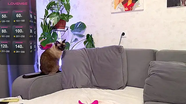 -Yourwoman-'s cam snapshot