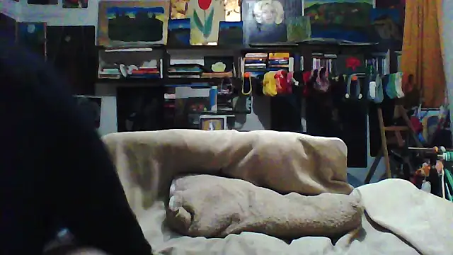 MariaAnaSunshine live sex cam