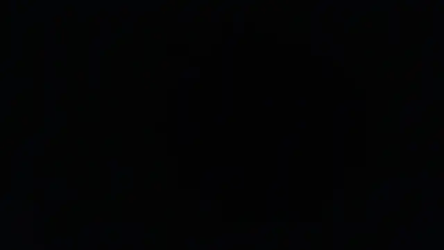 1BECHA1's cam snapshot