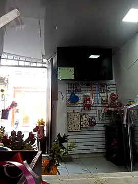 VivienAndClark live sex cam