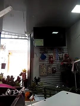 VivienAndClark live sex cam