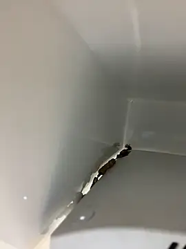 clarachanelricek's cam snapshot