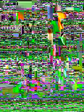 tetutamy live sex cam