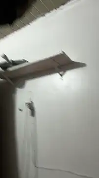 _foreigntitts's cam snapshot