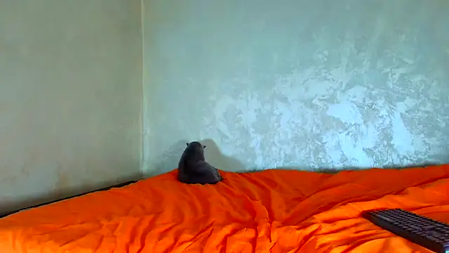 angeliquevany live sex cam