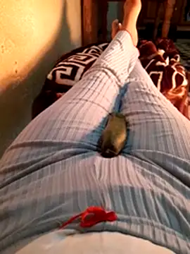 Tota_sexi's cam snapshot