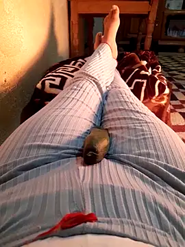 Tota_sexi's cam snapshot