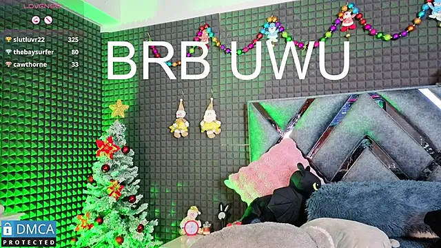 SolBeaumont1's cam snapshot