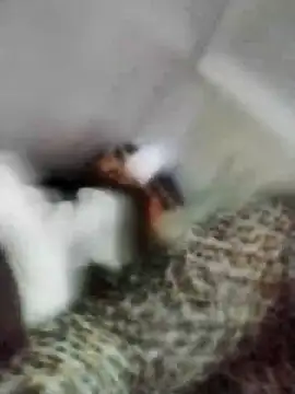 nayakaA7's cam snapshot